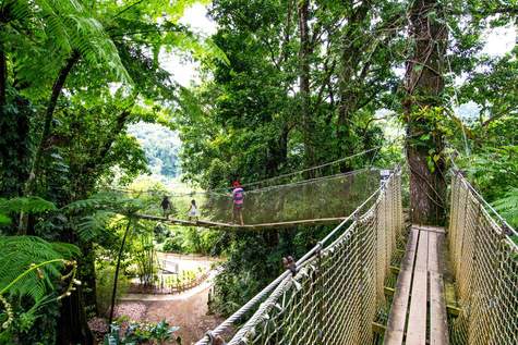 MSC Cruises, Martinique, Fort-de-France, Excursions - MSC Rights.jpg